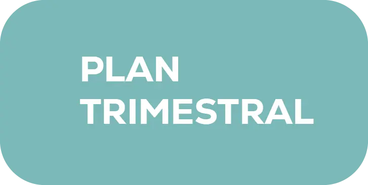 Plan Trimestral