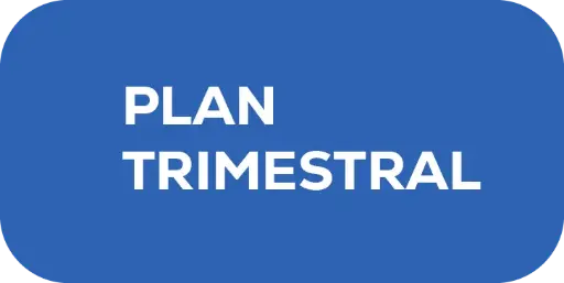 Plan Trimestral